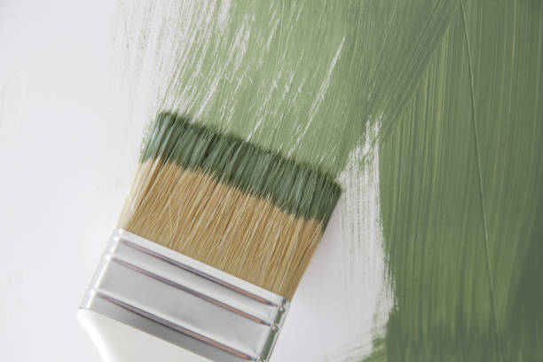 Best Mold Damage Restoration  in Seabrook Island, SC