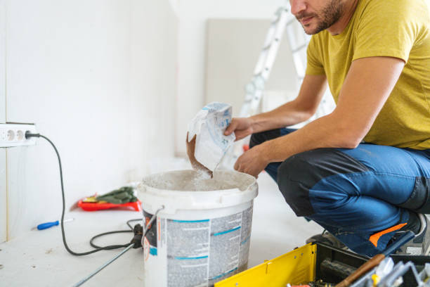 Professional Mold Removal in Seabrook Island, SC