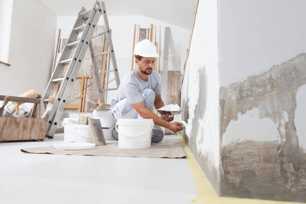 Best Mold Documentation for Insurance Claims  in Seabrook Island, SC