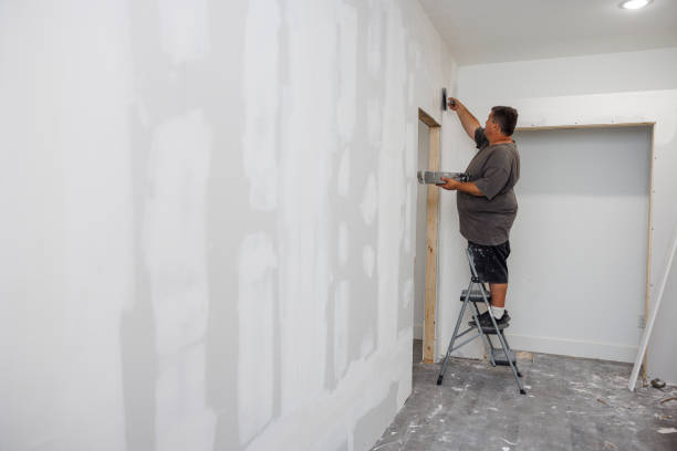 Best Black Mold Removal  in Seabrook Island, SC