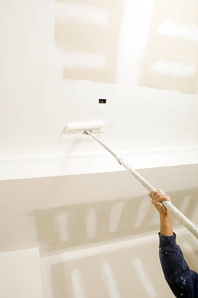 Best Mold Odor Removal Services  in Seabrook Island, SC