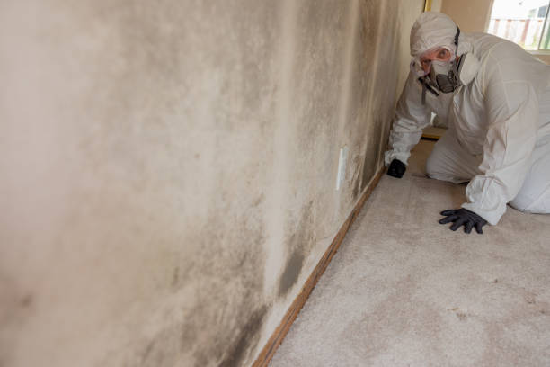 Best Indoor Air Quality Assessment  in Seabrook Island, SC