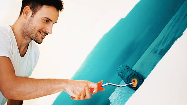 Best Basement Mold Removal  in Seabrook Island, SC